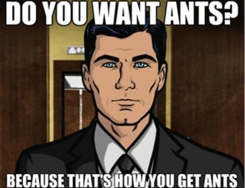 Ants: A$$h@les vs Nuisance